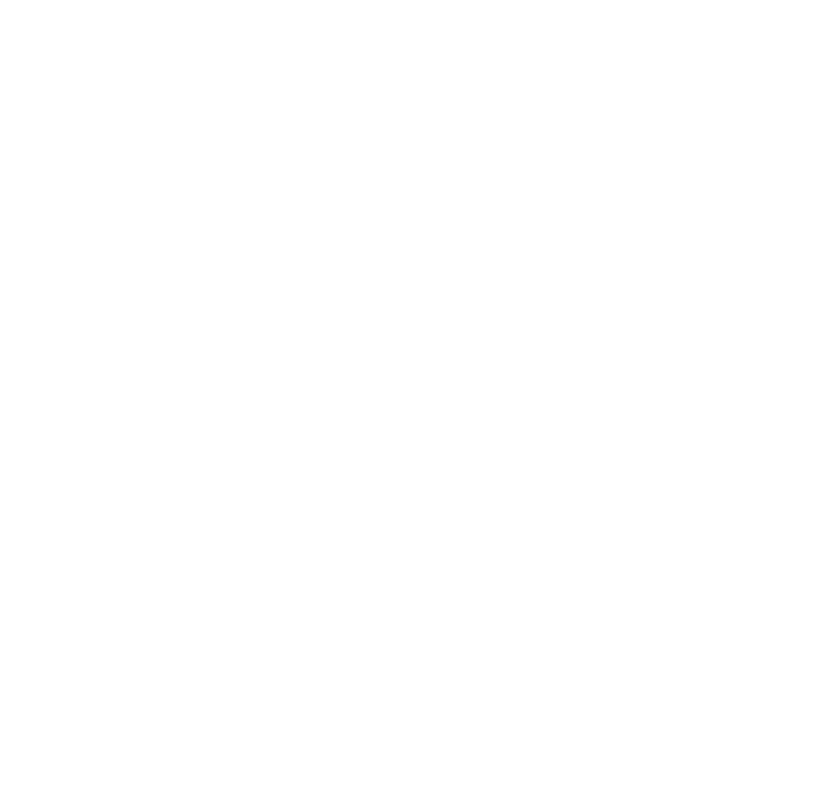 Carnegie Mellon AI Safety Initiative (CASI) logo